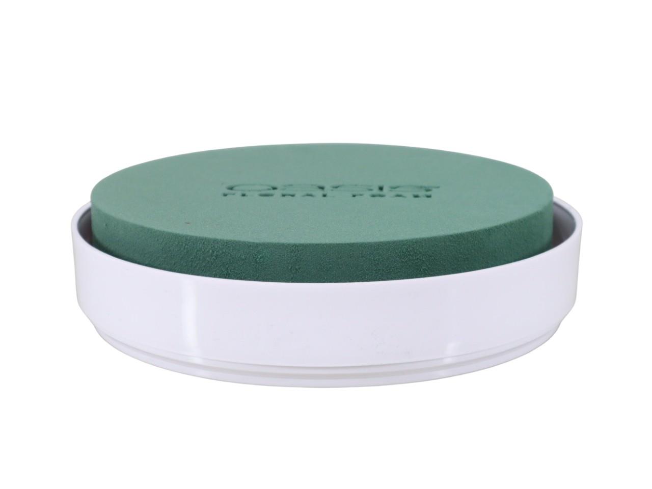 Oasis Schale Venezia 25x4,5cm NETTO