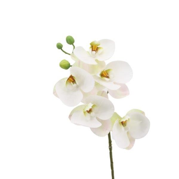 Phalaenopsis/Orchideenrispe creme H40cm