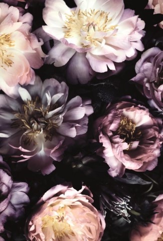 Glückwunschkarten Basics  11,5x17 cm