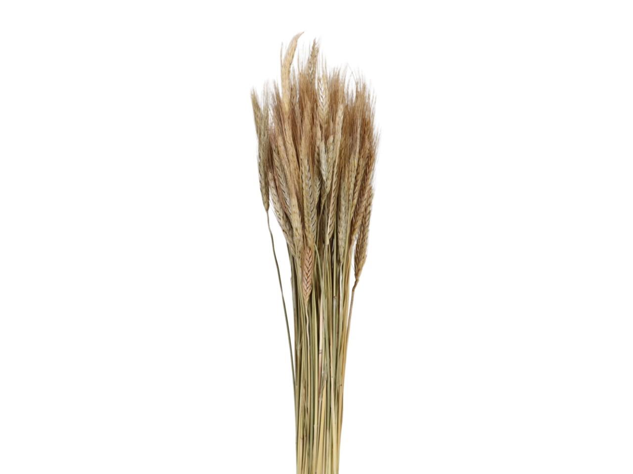 Weizen (Triticale) natur 200gr.