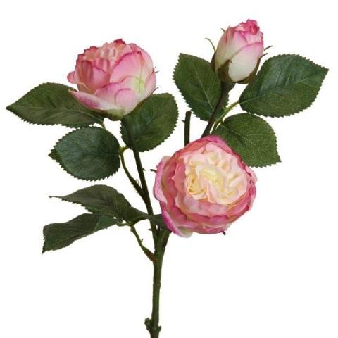 Rose Englisch 3 Blüten 41cm rosa