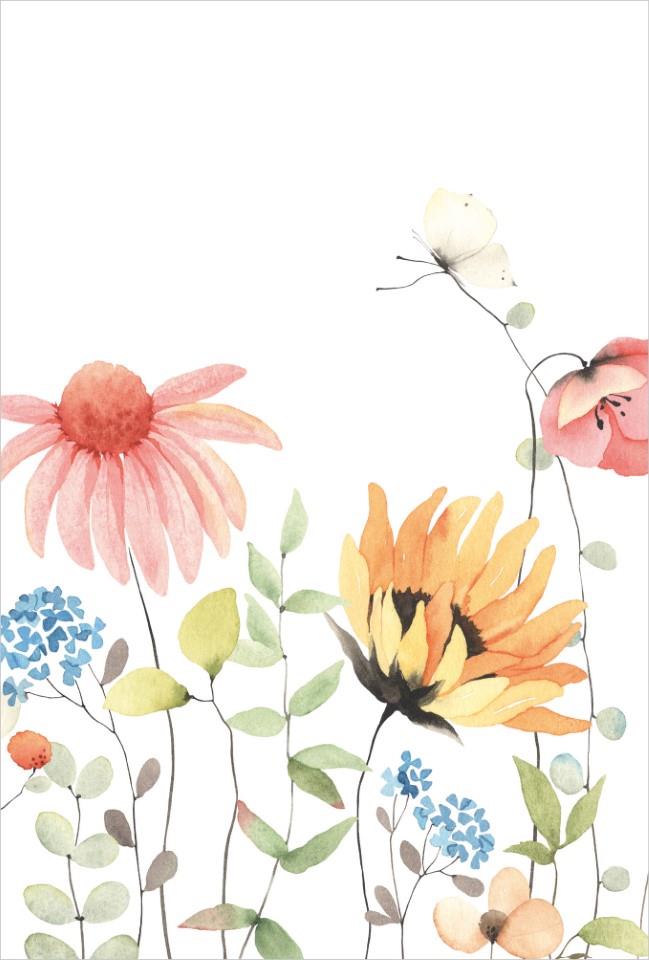 Glückwunschkarten Blanco 11,5x17 cm