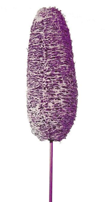 Luffa D4-6 H10-15cm gestielt brombeer frosted