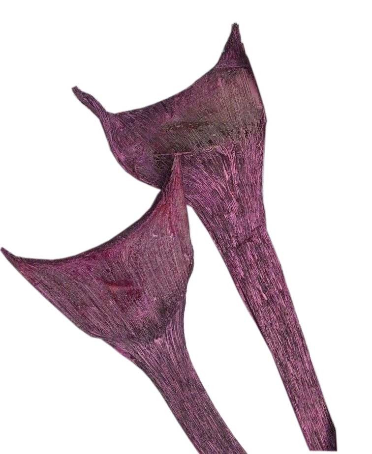 Agave spezial 2,5kg (ca. 55 Stück) brombeer