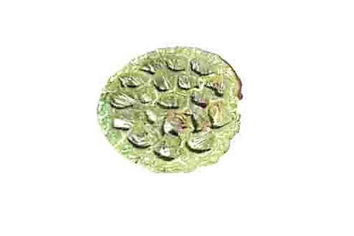 Lotos 6-8cm mixed kiwi grün frosted Lotos 6-8cm mixed kiwi grün frosted