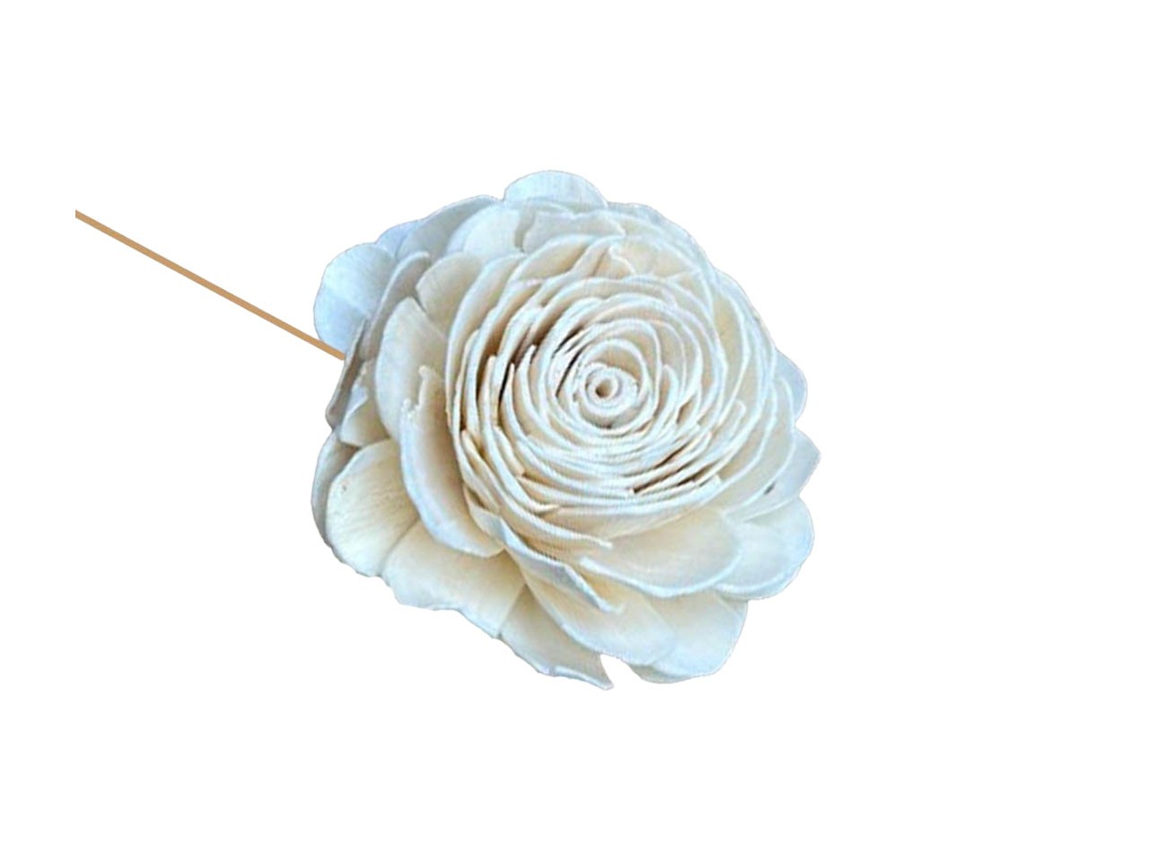 Rose Sola am Draht D8cm natur-weiß