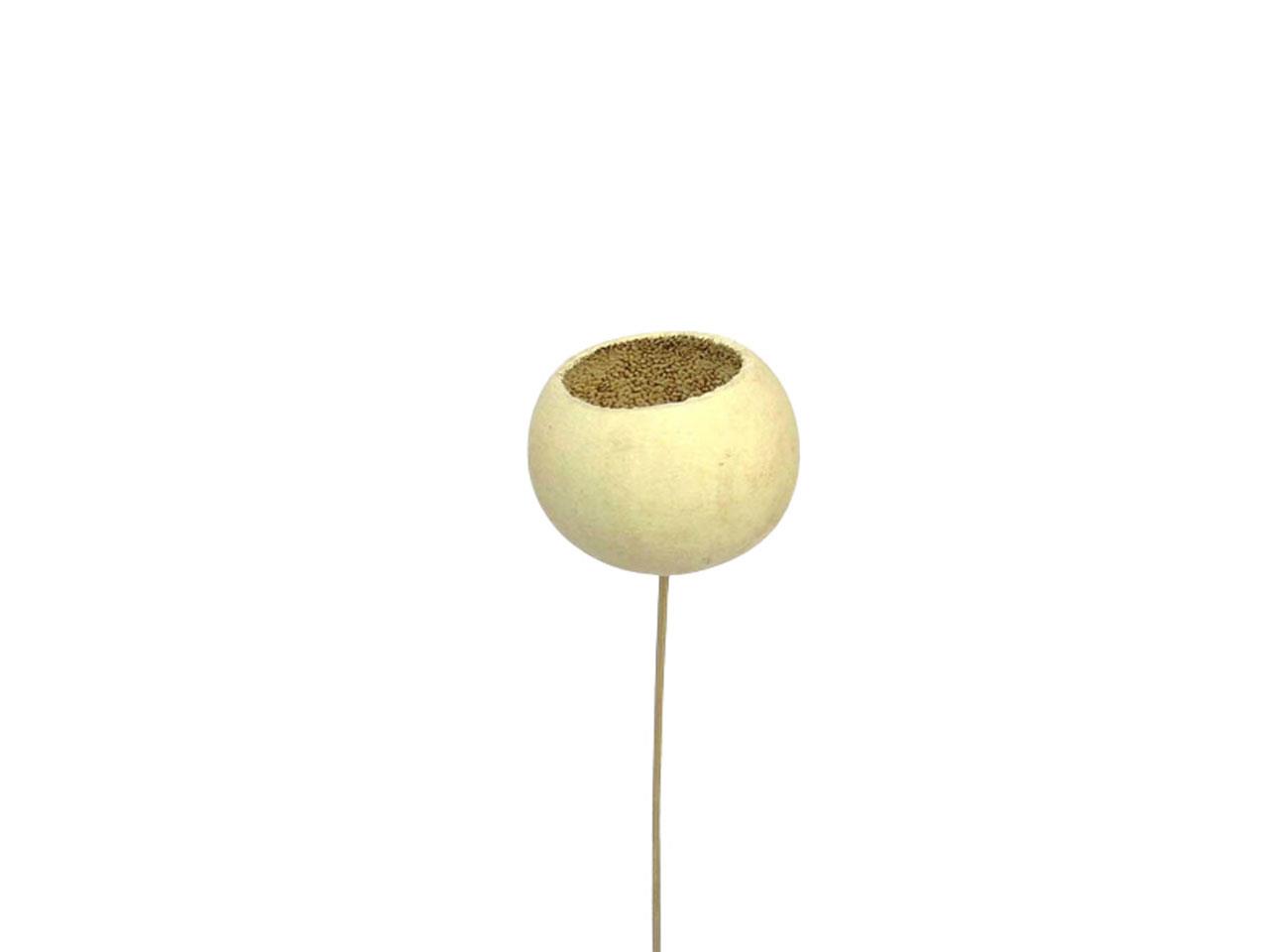 Bell Cup mini gebleicht gestielt Bell Cup mini gebleicht gestielt