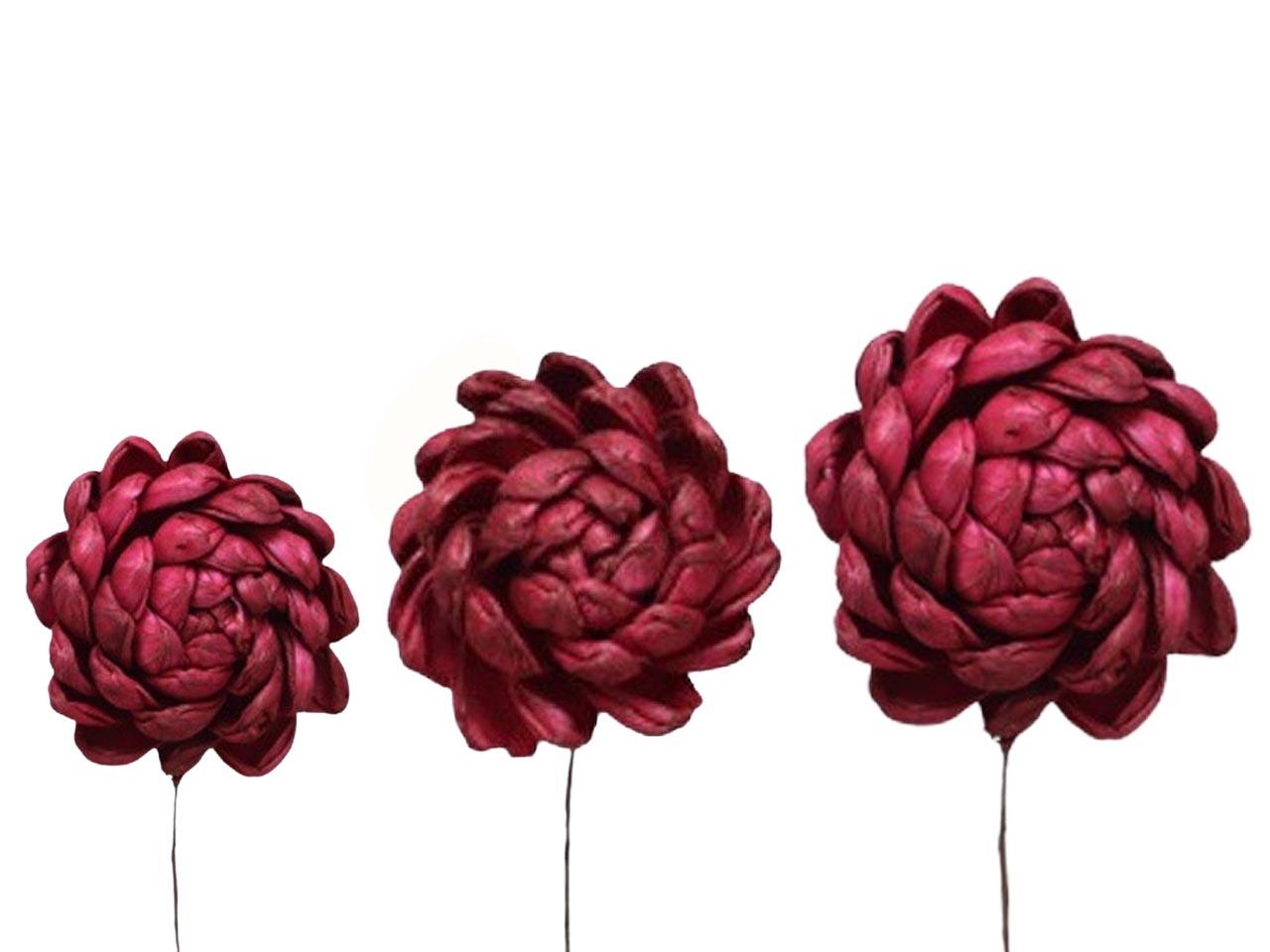 Dahlie Sola am Draht 6+8+10cm sortiert je 12St. bordeaux