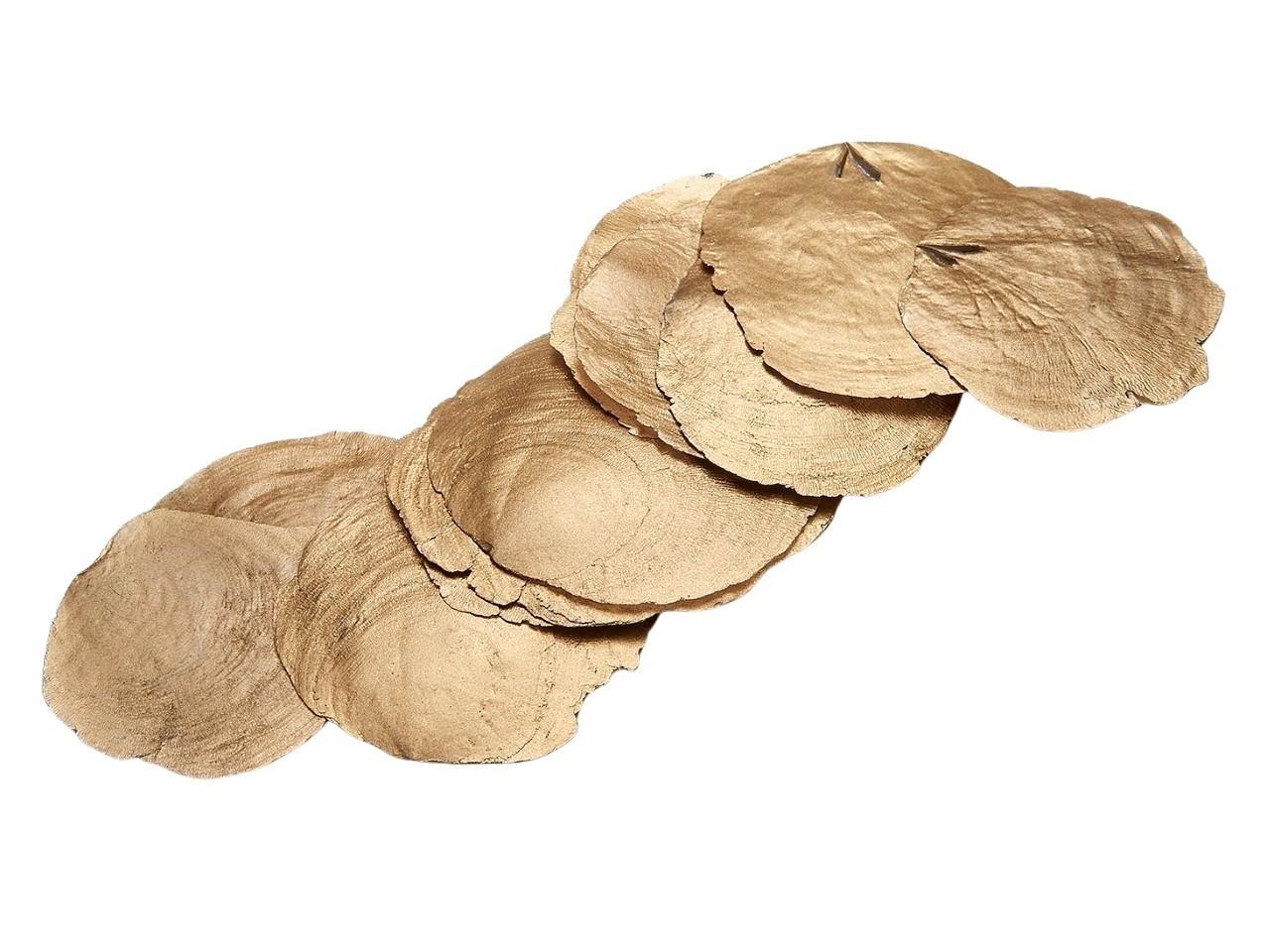 Capizmuschel gold 250gr.