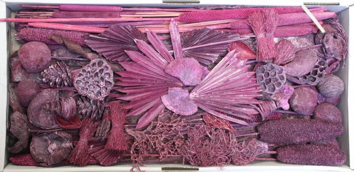 Exotensortiment indisch brombeer frosted groß 100 Stück