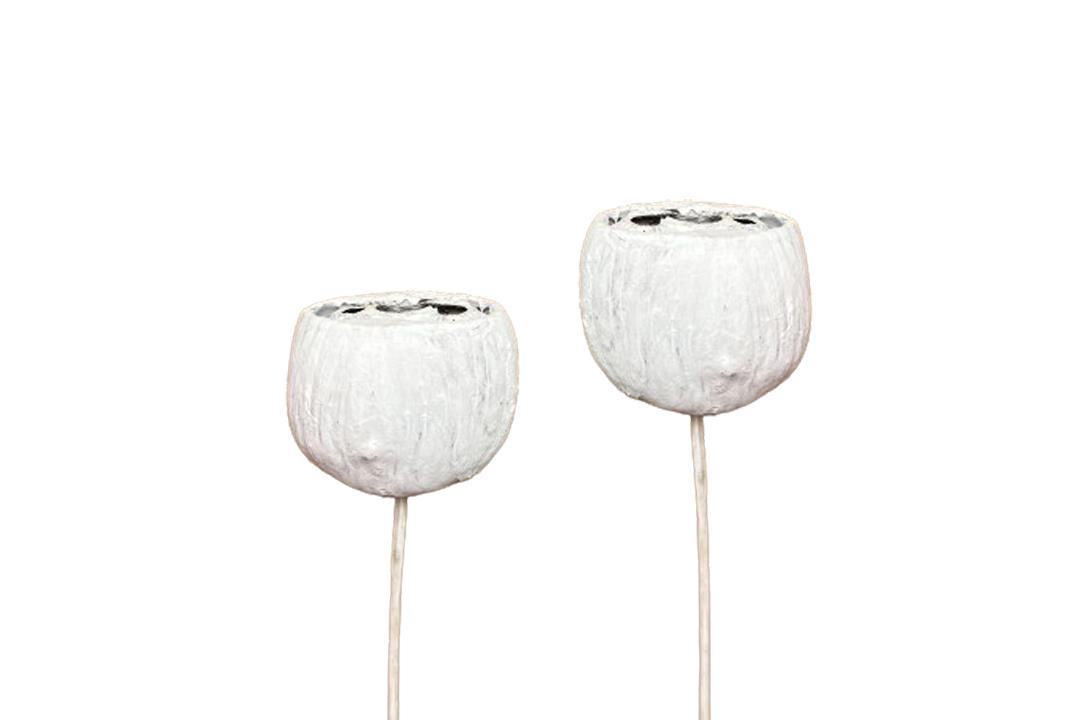 Palm Pod gestielt ca. D7H6L45cm white washed