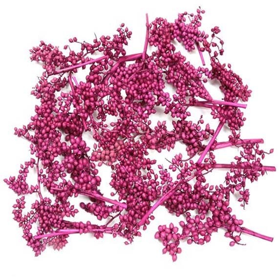 Canella spezial große Beeren erika