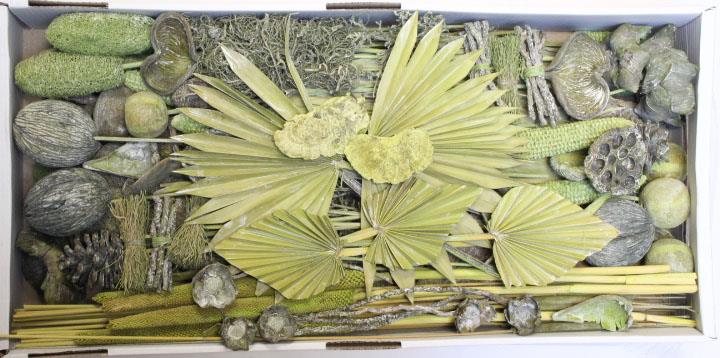 Exotensortiment indisch kiwi grün frosted großer Karton