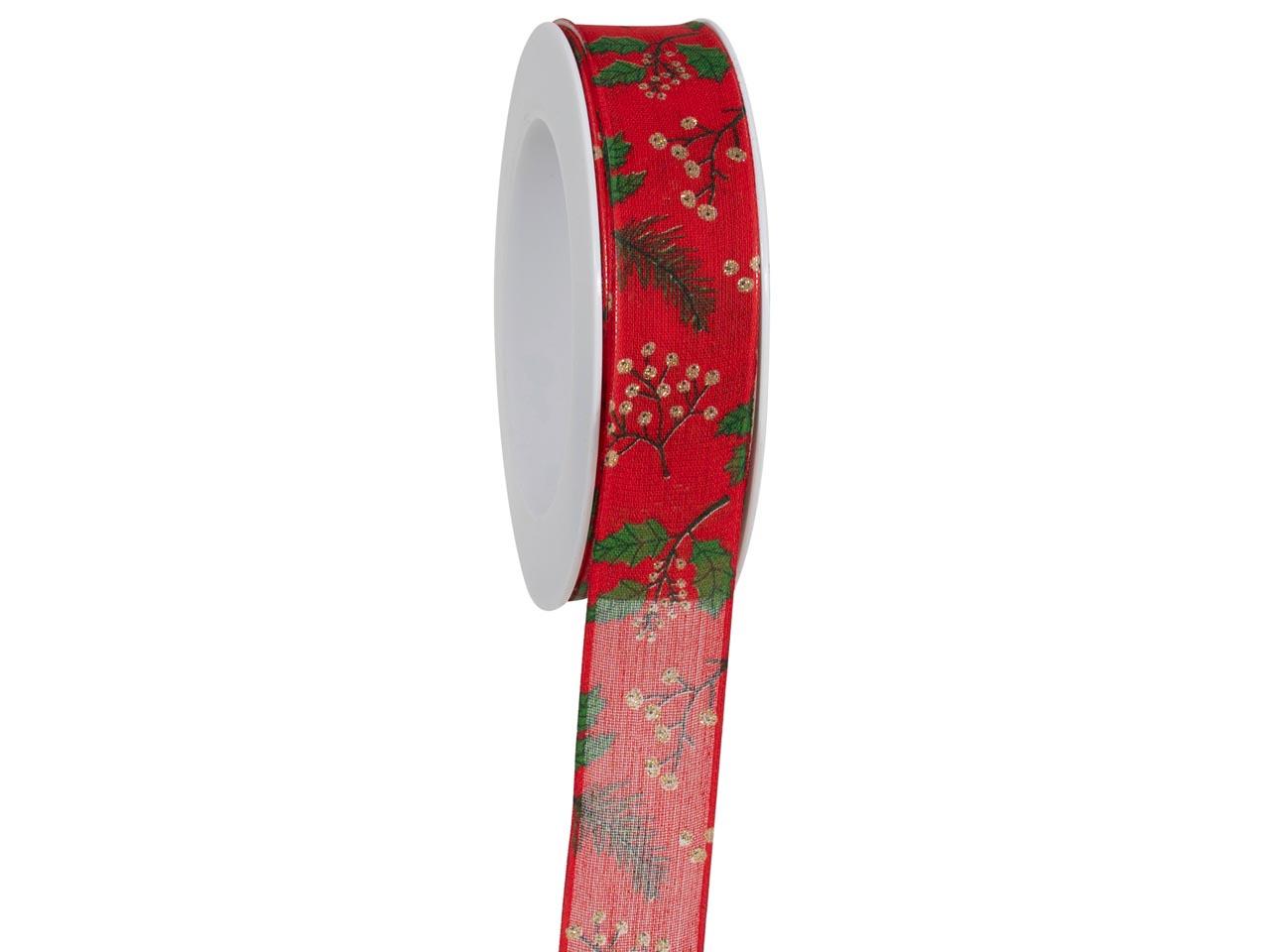 Band Waldfete 25 mm 18 Meter rot 20