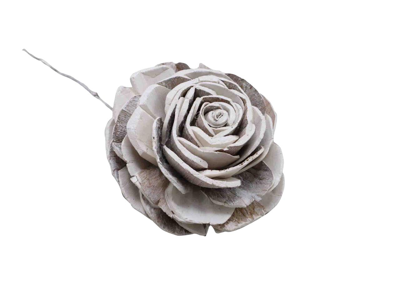 Rose Sola am Draht D8cm white washed