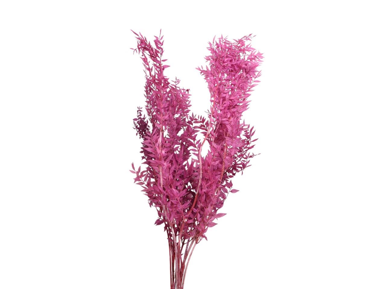 Ruskus 300 gr. brombeer Ruskus 300 gr. brombeer