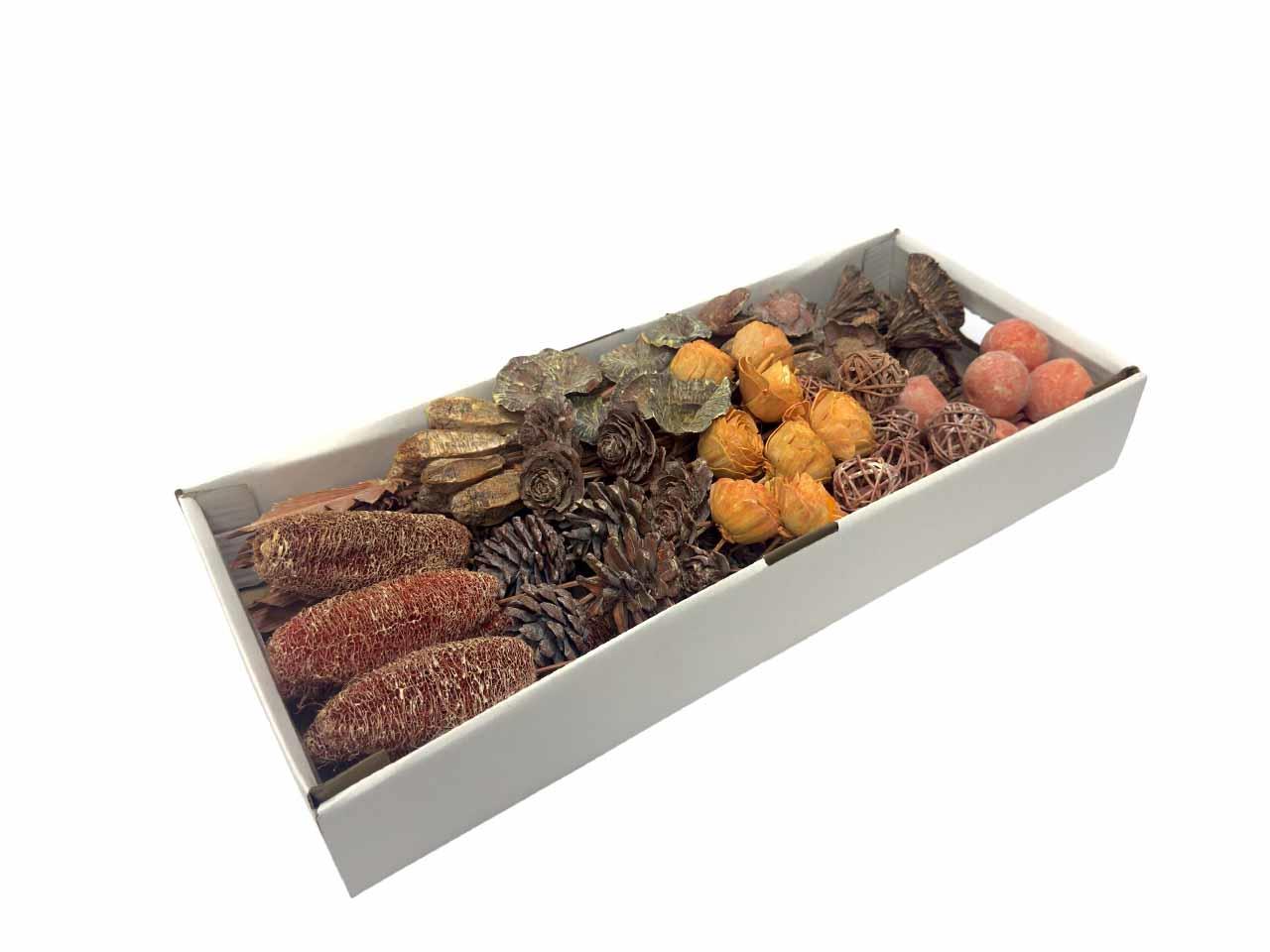 Exotensortiment indisch gestielt klein orange frosted Exotensortiment indisch gestielt klein orange frosted