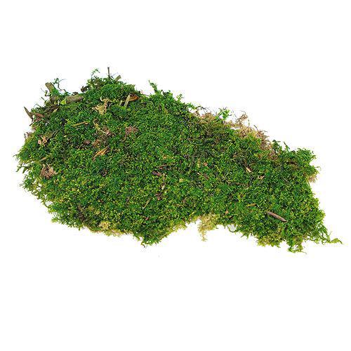 Plattenmoos 1kg apfelgrün gefärbt