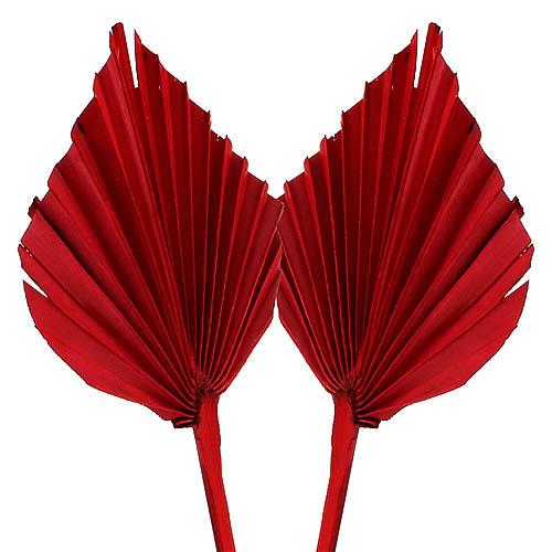 Palmspeer B10 H15 L50cm rot