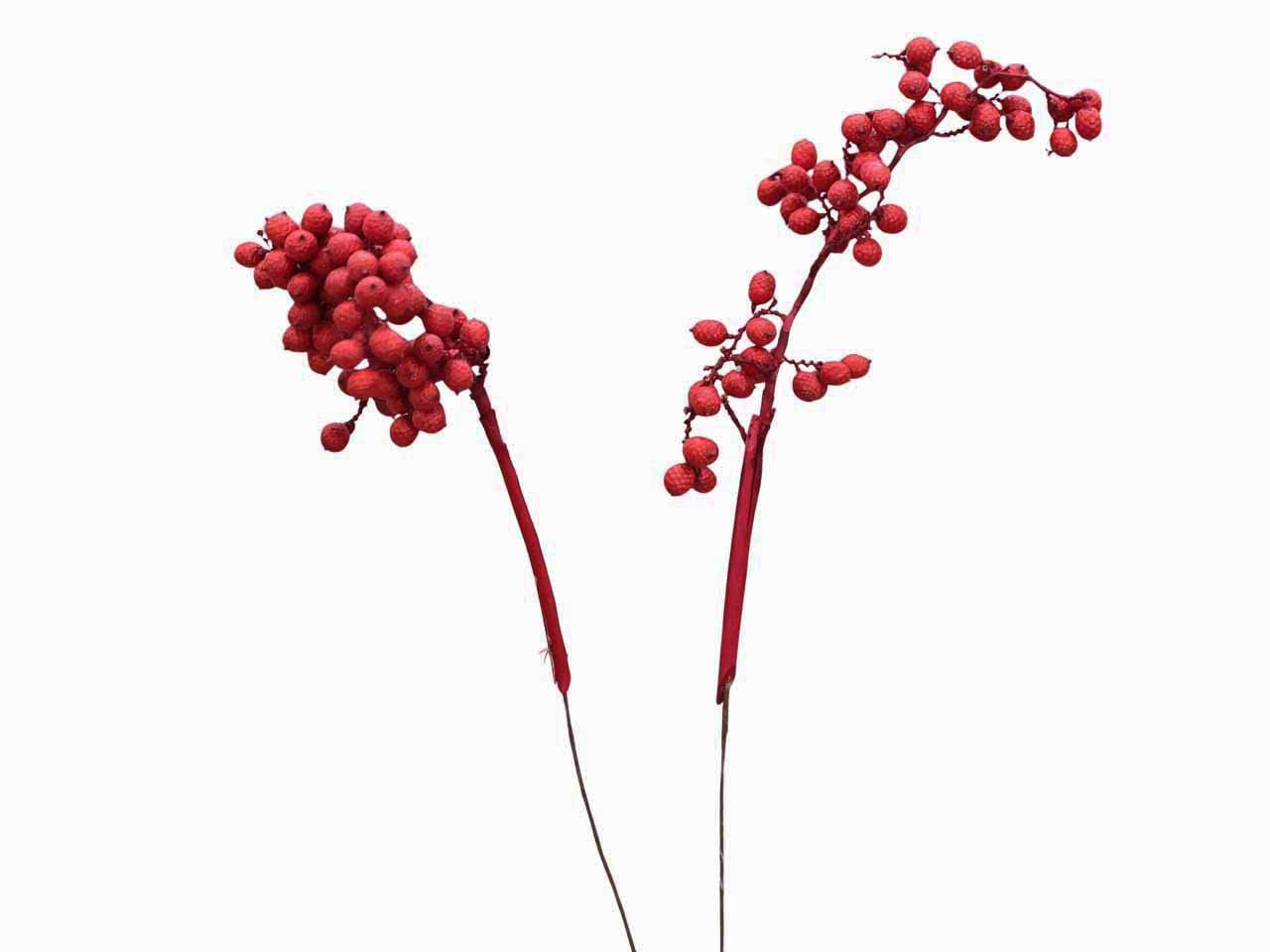 Canella extra am 30cm Drahtstiel rot