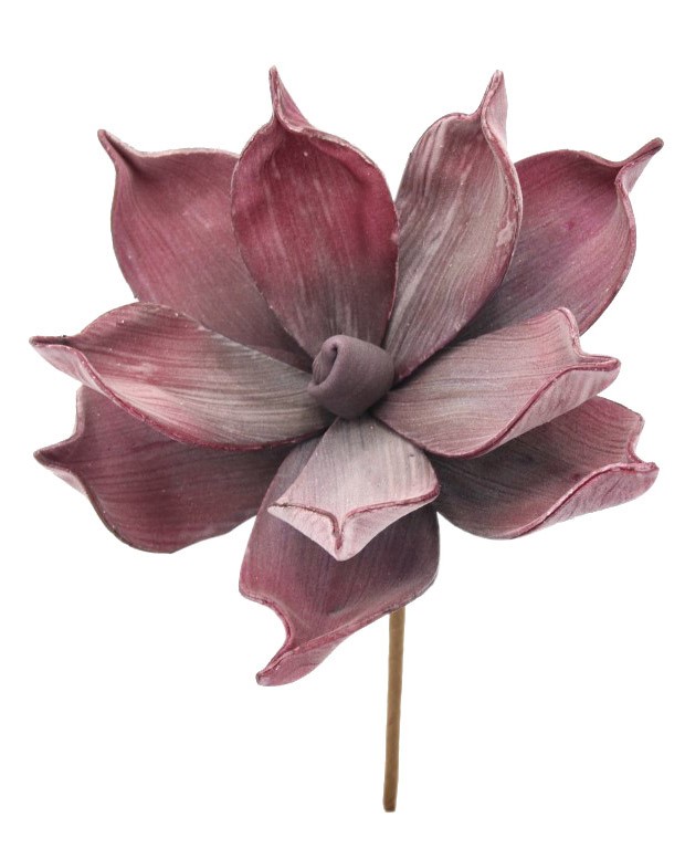 Magnolie Foam bordeaux D18cm