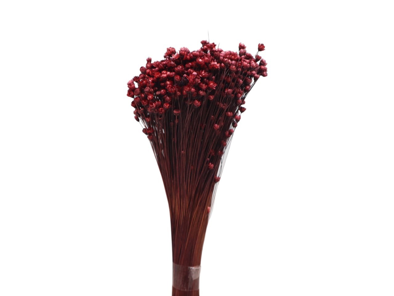 Glixia pflaume 32 100gr.