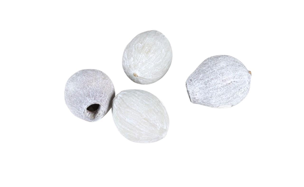 Zapfen Eucalyptusglocken D5cm ca. 70 Stück 1kg whitewashed