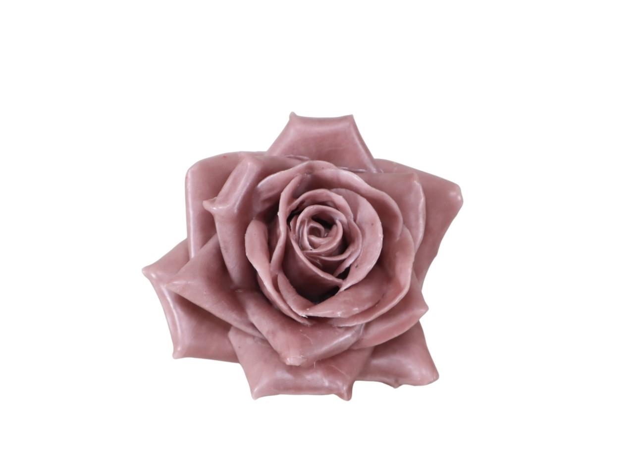 Rosenblüte Wachs 11cm mauve in Holzbox