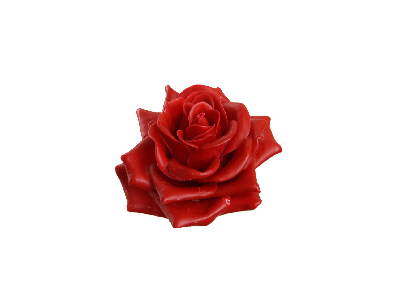 Rosenblüte Wachs 7cm rot in Holzbox