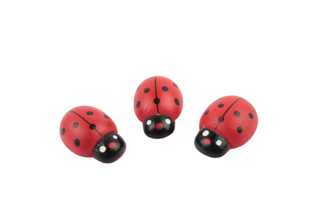 Käfer D1,5cm Holz m. Klebepin