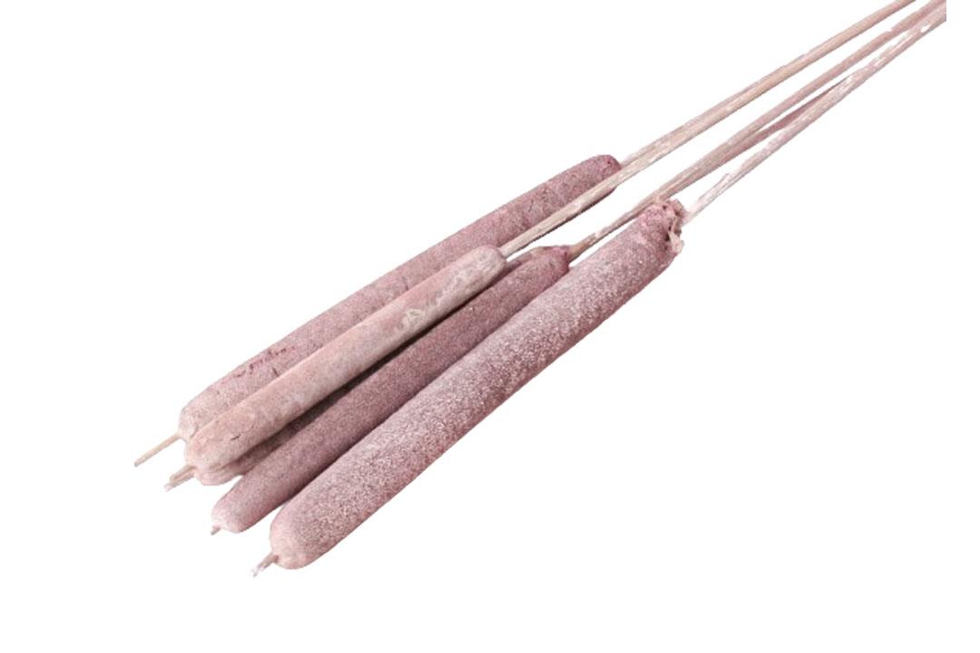 Schilfkolben geraspelt extra altrosa frosted