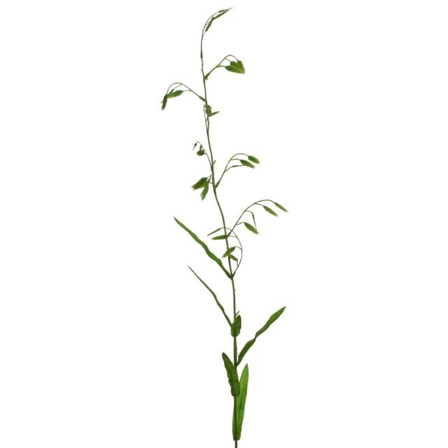 Gras m. Ähren 94 Ähren grün