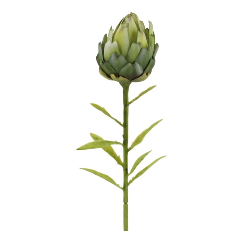 Artischocke Blüte grün L60cm