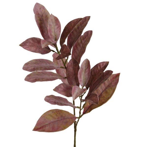 Croton Zweig 72cm purple
