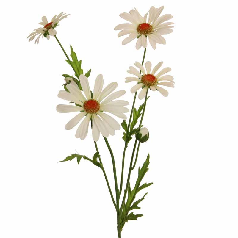 Margerite Zweig 4 Blüten+2 Knospen H60cm creme Margerite Zweig 4 Blüten+2 Knospen H60cm creme