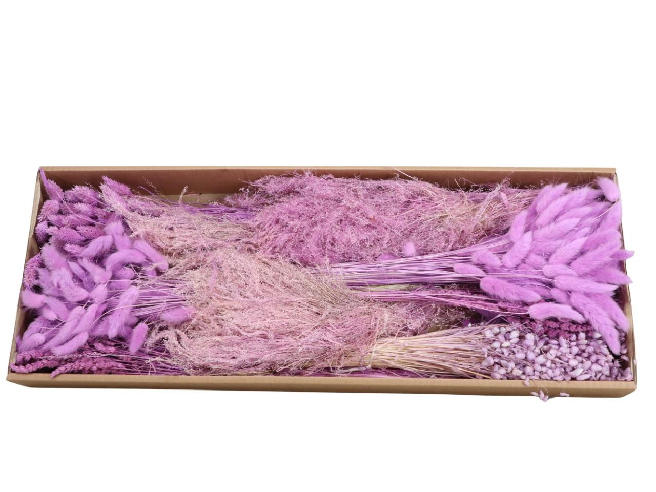 Gräser sort. 350 gr. freesie 66/P