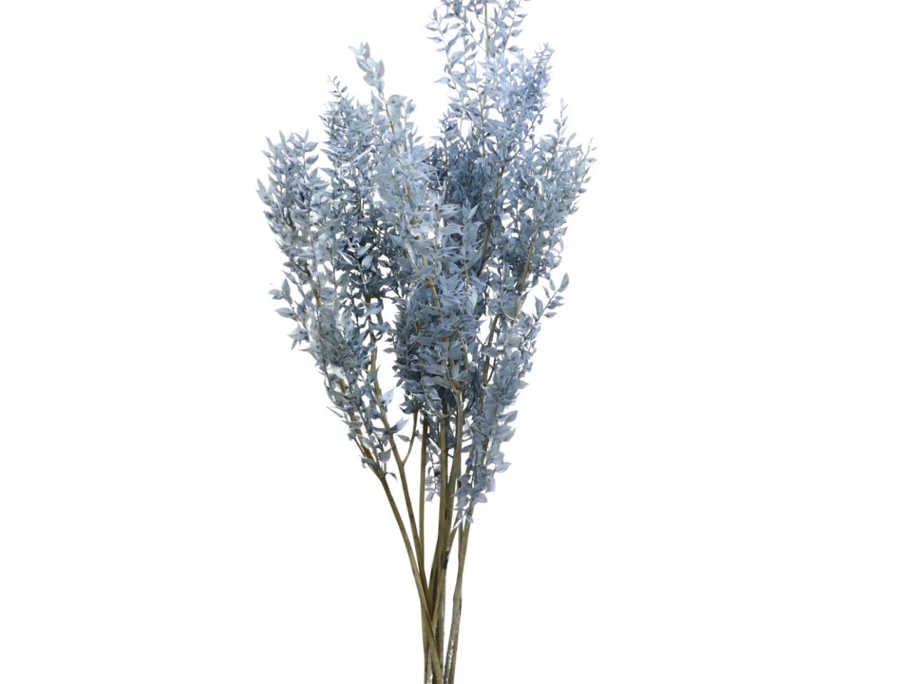 Ruskus 400gr. silbergrau53