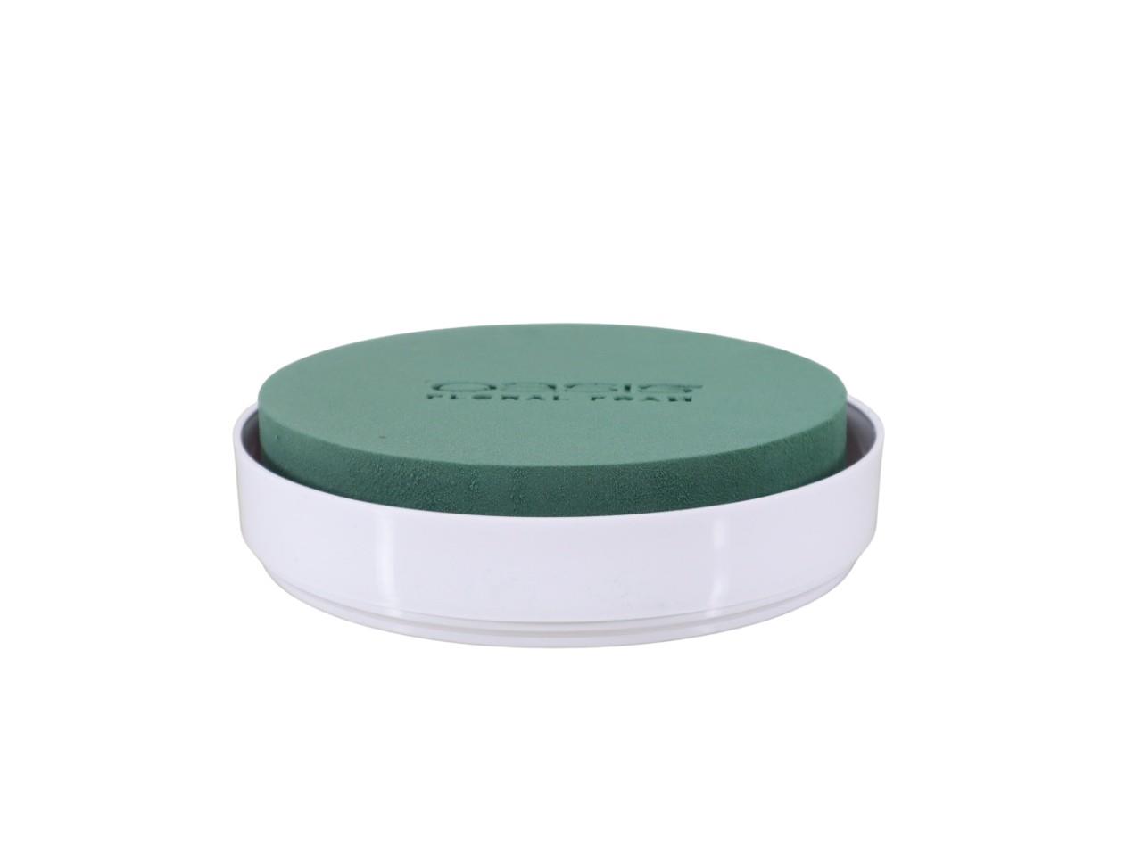 Oasis Schale Veneia 20x4cm NETTO