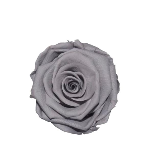 Rose "Extra" stabilisiert H6cmD6,5cm splendid gray NETTO