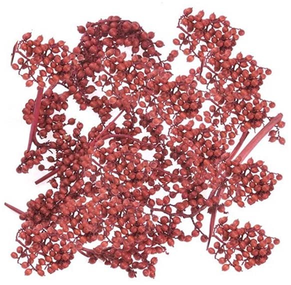 Canella spezial große Beeren rot