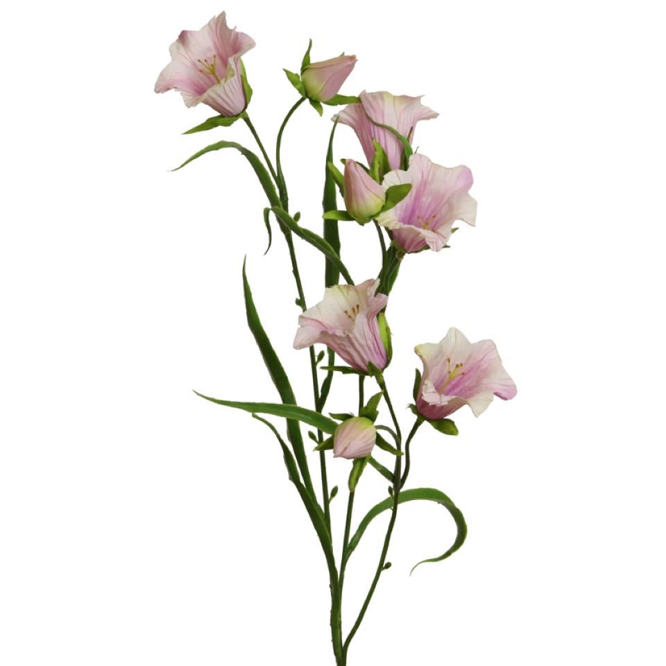 Glockenblume 66 cm rosa