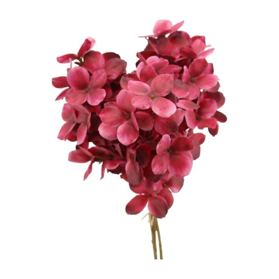 Rispenhortensie 3fach beauty H30cm Rispenhortensie 3fach beauty H30cm