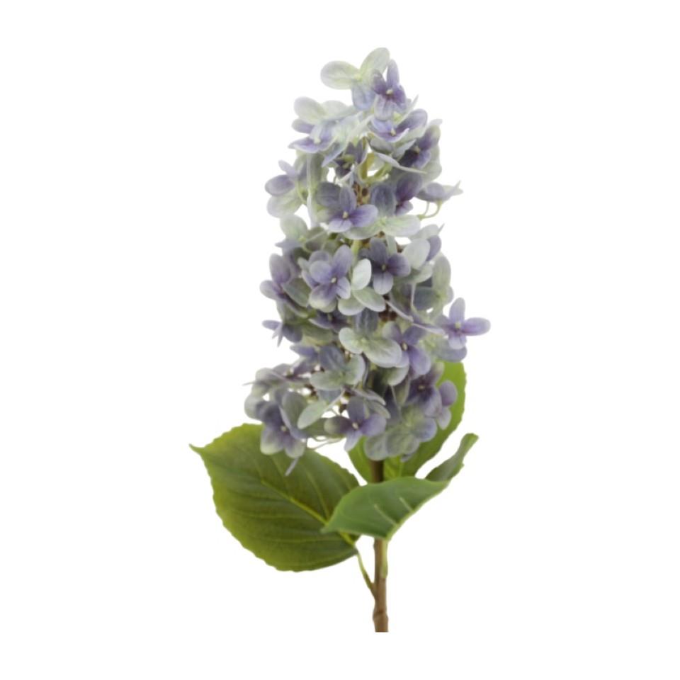 Rispenhortensie 60 cm blau