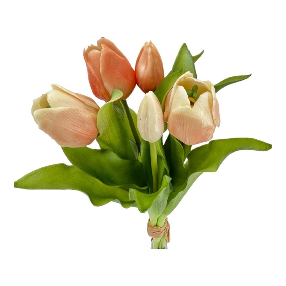 Tulpenbund  soft touch  x 5 peach