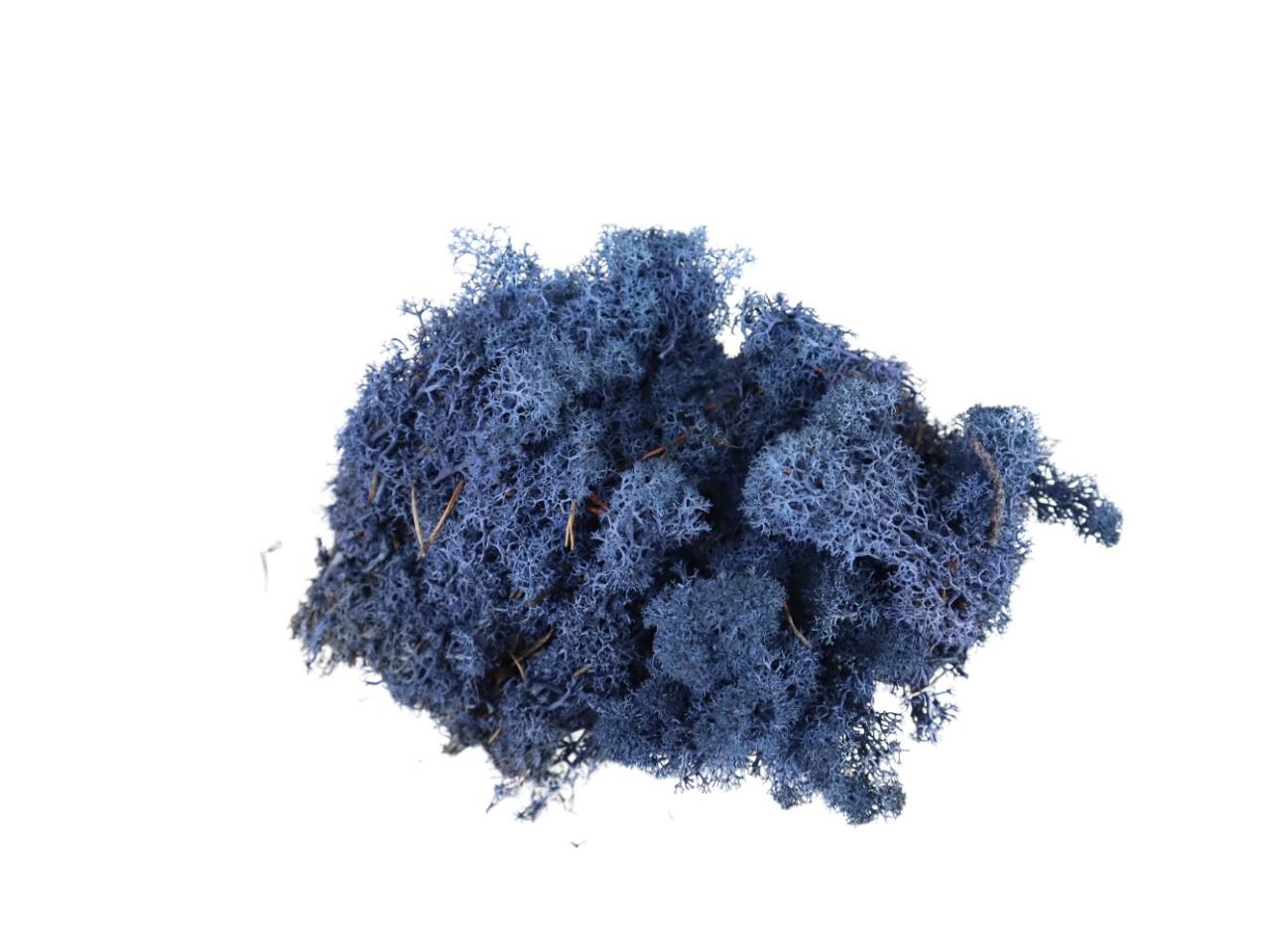 Islandmoos 500gr. blau