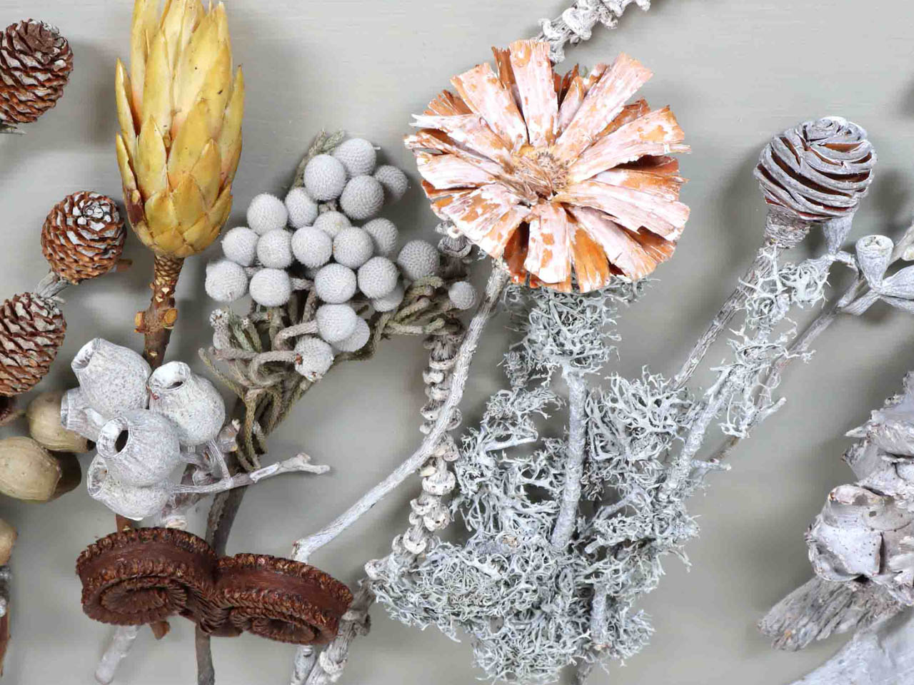 Trauerfloristik Exoten