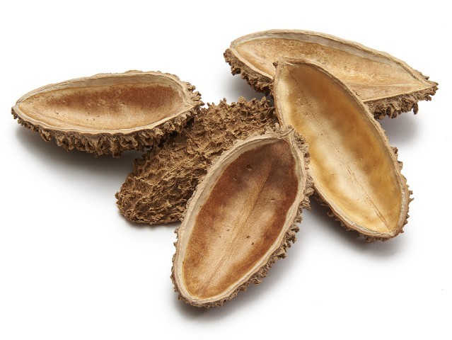 Kapseln Pente Onca natur