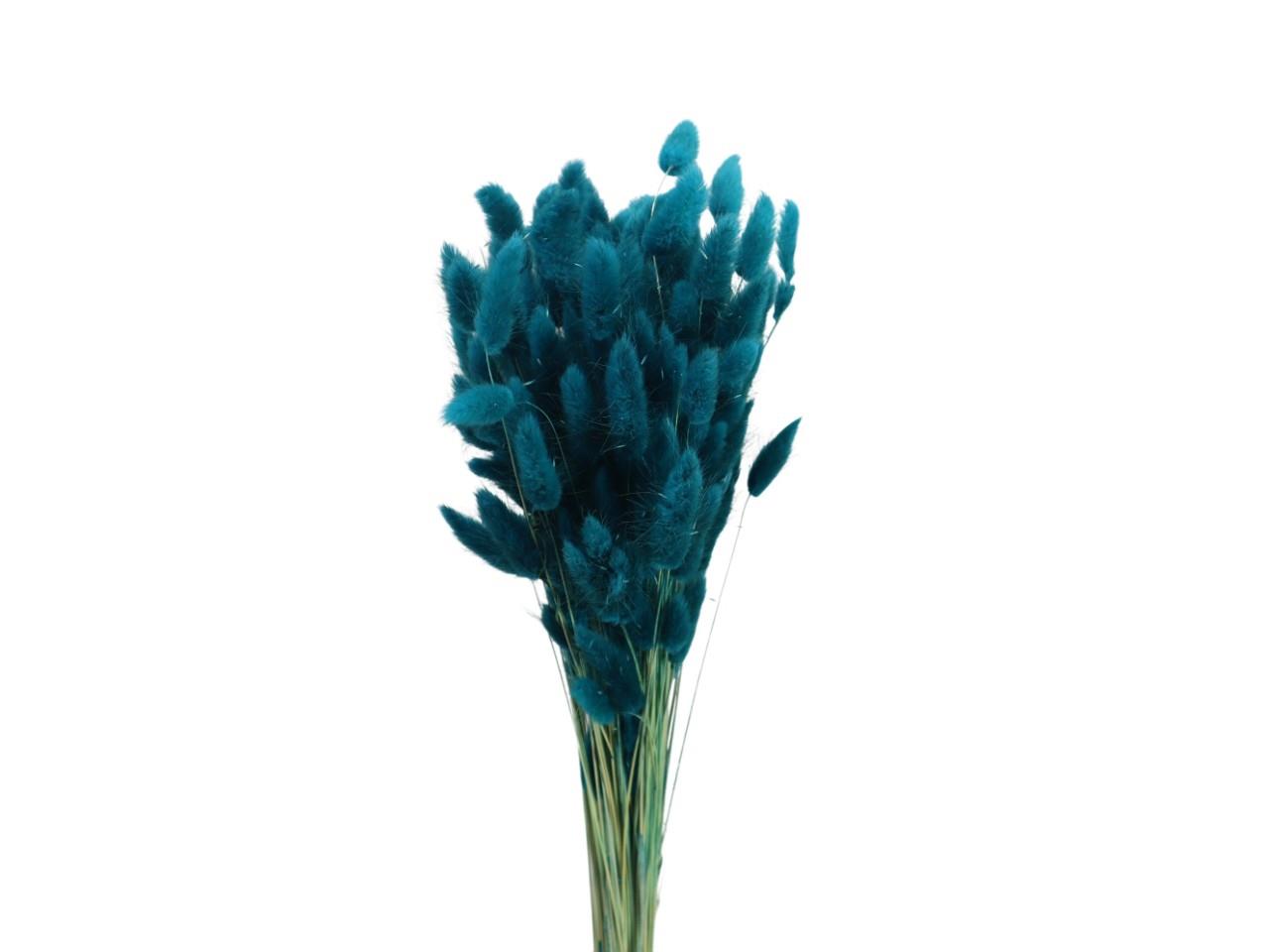 Lagurus petrol 82 100gr.