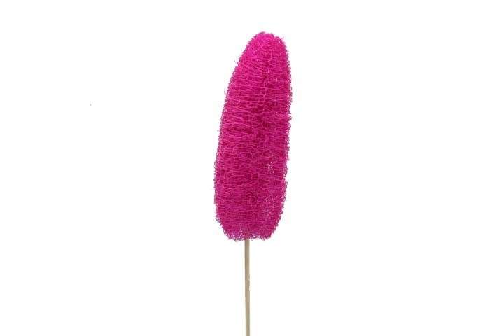 Luffa D4-6 H10-15cm gestielt erika
