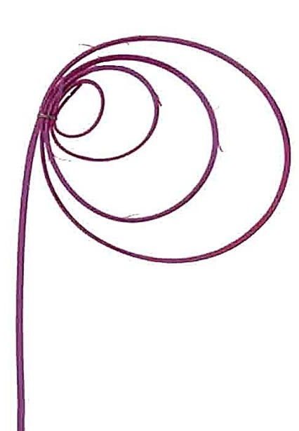 Cane Coil brombeer